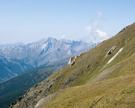 25082017-15h35m15s-DSC05406-XL