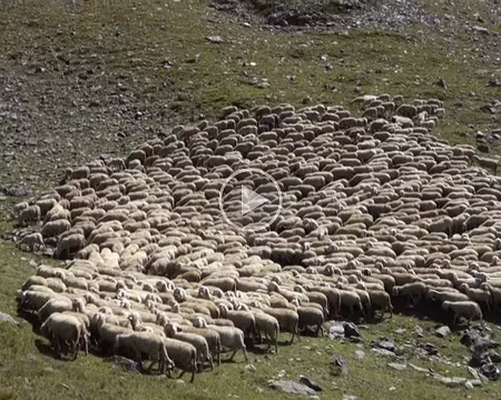 25082017-16h06m42s-DSC05408-XL