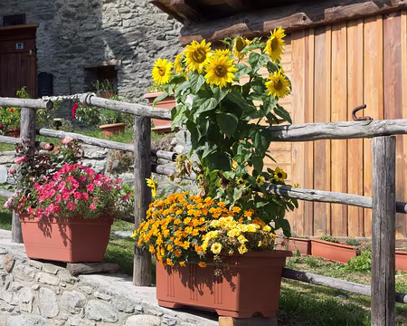 25082017-19h35m47s-DSC05412-XL