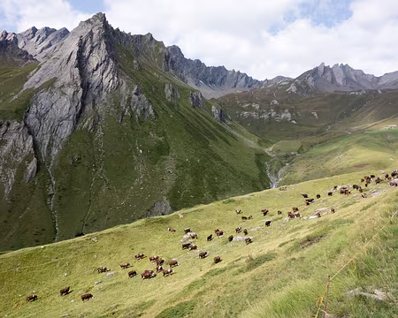 26082017-14h09m00s-DSC05417-XL