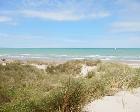 P8051780 Enfin les dunes