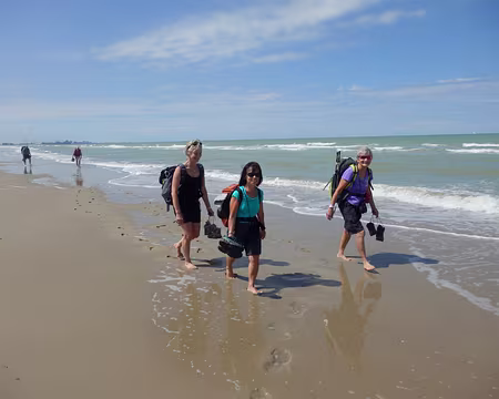 P8051781 Retour à la plage