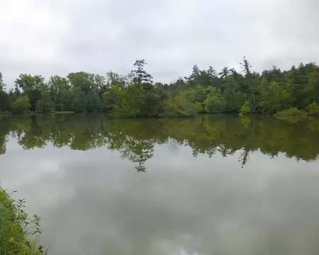 P1050783 Les Fontaines bouillantes abritent 3 étangs en forêt de Dourdan