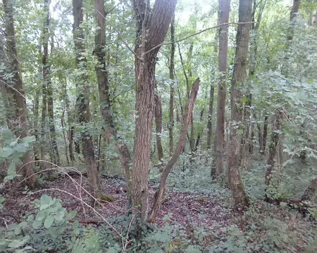 P1050794 Au fond du vallon, près de Saint-Martin-de-Bréthencourt, se trouvent les sources de l'Orge, affluent de la Seine, long de 50 km.