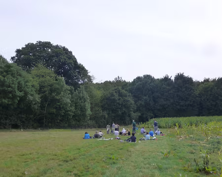 P1050775 Ce chêne en forêt de Dourdan s'élève à 33 mètres.