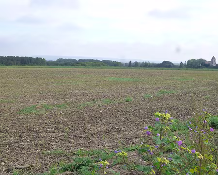 P1050805 Vallée de la Beuvronne et St-Mesmes