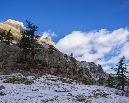 80-IMG_7352 Limite de la neige à environ 2000m