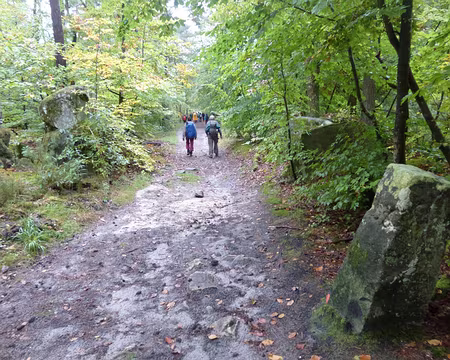 P1050905 Borne le long de la route de la Grande Vallée, Montigny-sur-Loing