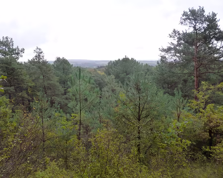 P1050907 Panorama près de ...