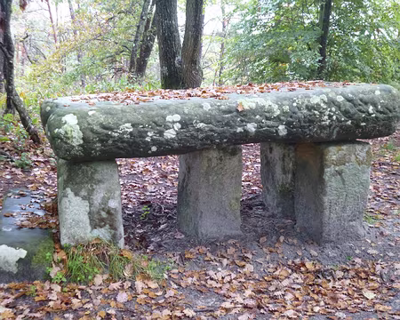 P1050909 ...la Table du Roi.