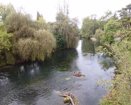 P1050910 Le Loing à Episy