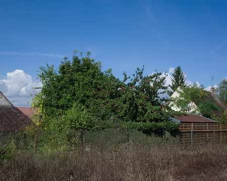 2017_09_20_12-51-42 Sortie pommes ?