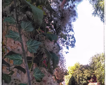 Les longs sillons Les longs sillons