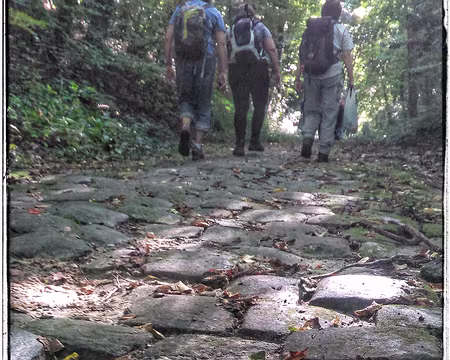 Pavage du 17e. Superbe rando de Claude Ramier! Pavage du 17e. Superbe rando de Claude Ramier!