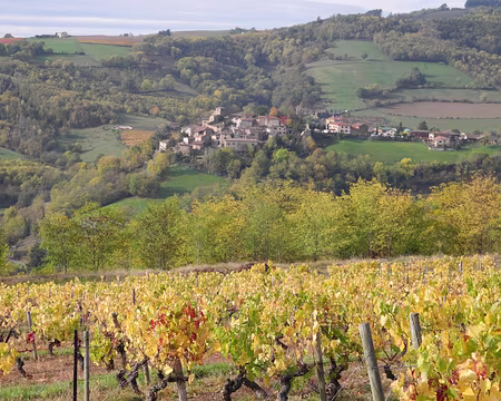 DSCN6210 Saint-Victor village médiéval