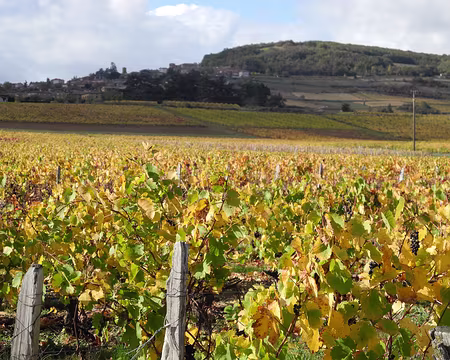 DSCN6261 la colline de Theizé