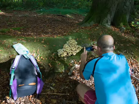 2017-10 Fausses-Reposes