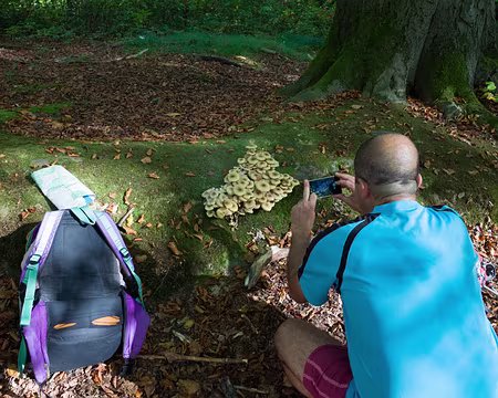 2017_10_15_15-35-33i20z2165