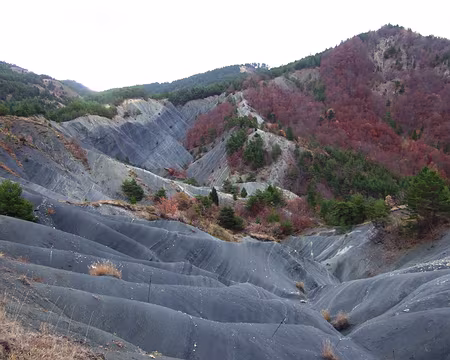 DSCF0620 Jeudi 2/11 Boucle pour le pic de Crigne.