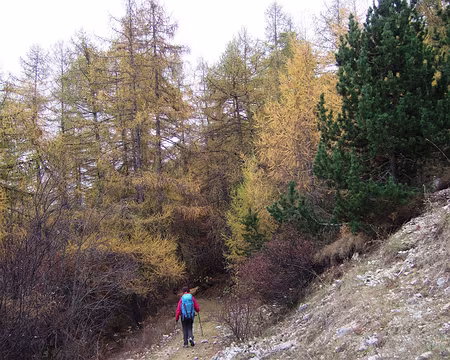 DSCF0710 Descente vers Manteyer.