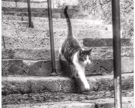 Gers (05) Bien descendre la pousterle