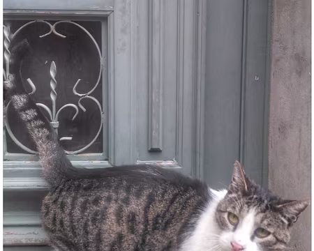 Gers (07) Rentrer maison