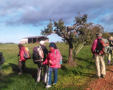 Gers (14) dimanche 22 oct, en Armagnac