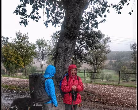 Gers (27) Une averse, deux randonneuses, quatre chiens.