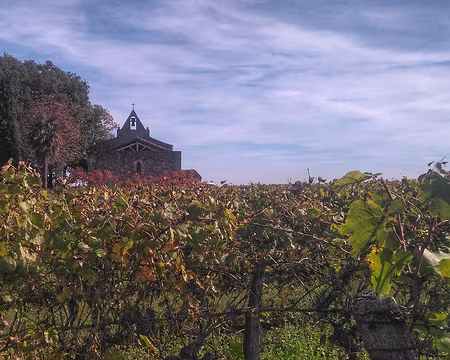 Gers (53) Sur le chemin de St Jacques, GR 65