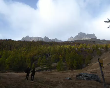 P1030236