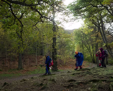 2017_10_23_13-08-16 Lumière d'automne