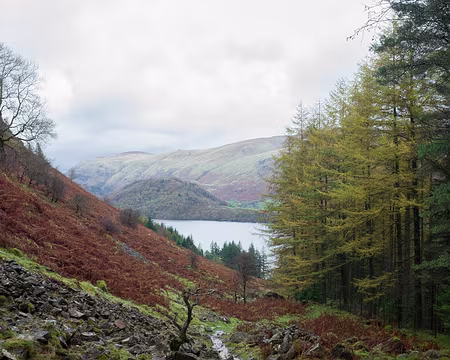 2017_10_24_13-56-23 Paysage avec mélèzes