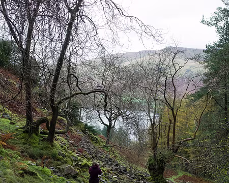 2017_10_24_13-59-19 Fairy tale