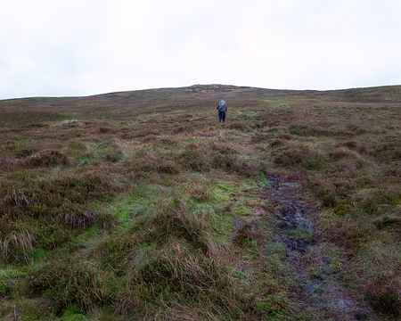 2017_10_24_14-30-03 Plateau = eau stagnante