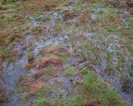 2017_10_24_14-38-01 Jeu du randonneur : où allez-vous poser votre pied ?