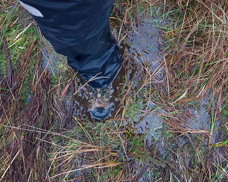 2017_10_24_14-39-42 Et voici le résultat !