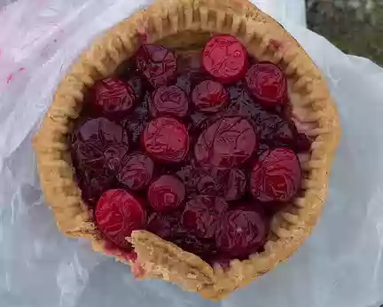 2017_10_26_12-52-25 Cranberry topped pork pie