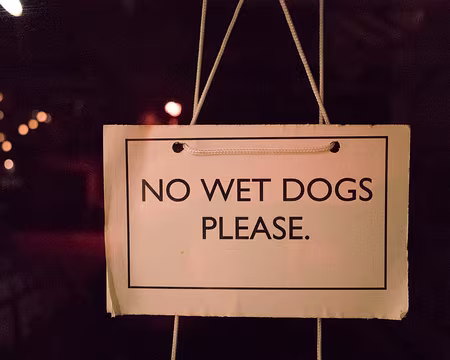 2017_10_26_20-24-16 Pas de chiens mouillés !