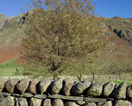 2017_10_27_10-18-03 Mur I