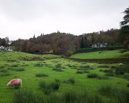 2017_10_28_11-05-20 Campagne anglaise
