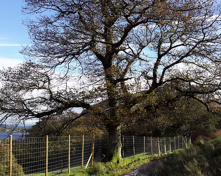 13 Ullswater Ullswater