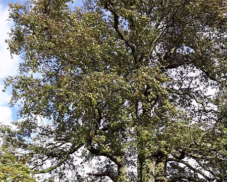 16 Ullswater Ullswater