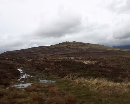 25 Hiigh Tove High Tove