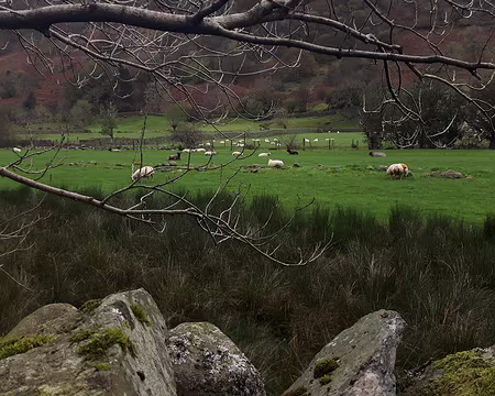 54 Retour vers Grasmere Retour vers Grasmere