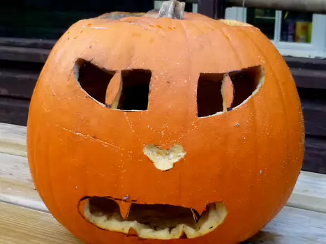 Bernadette Bernadette P, détail sortie