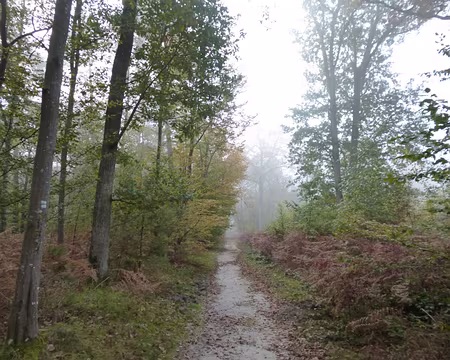 P1060055 Départ de Thomery