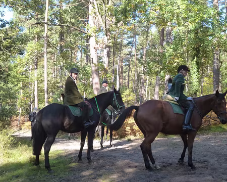 P1060058 Rencontre avec le sonneurs d'une chasse à courre