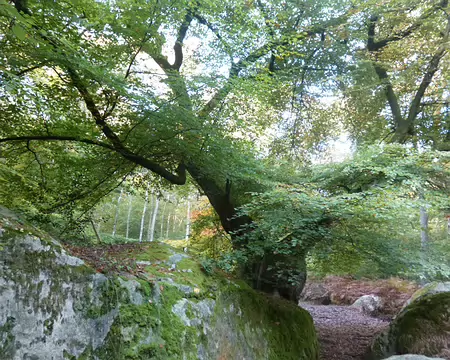 P1060081