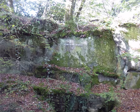 P1060093 Fontaine Maria, 1891
