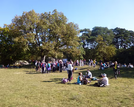 P1060098 Rendez-vous d'automne...